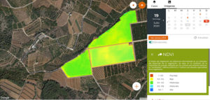 teledeteccion agricola VISUAL 2020 informacion satelite