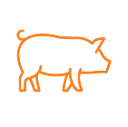 PURINES