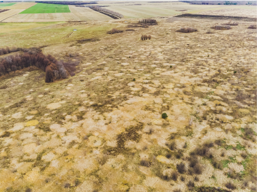 visual-agriRecover-caso-de-uso-agroseguro